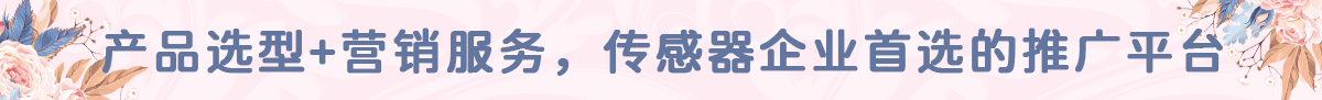 传感器互联网营销领导者