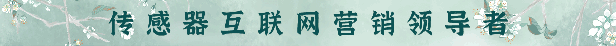传感器互联网营销领导者